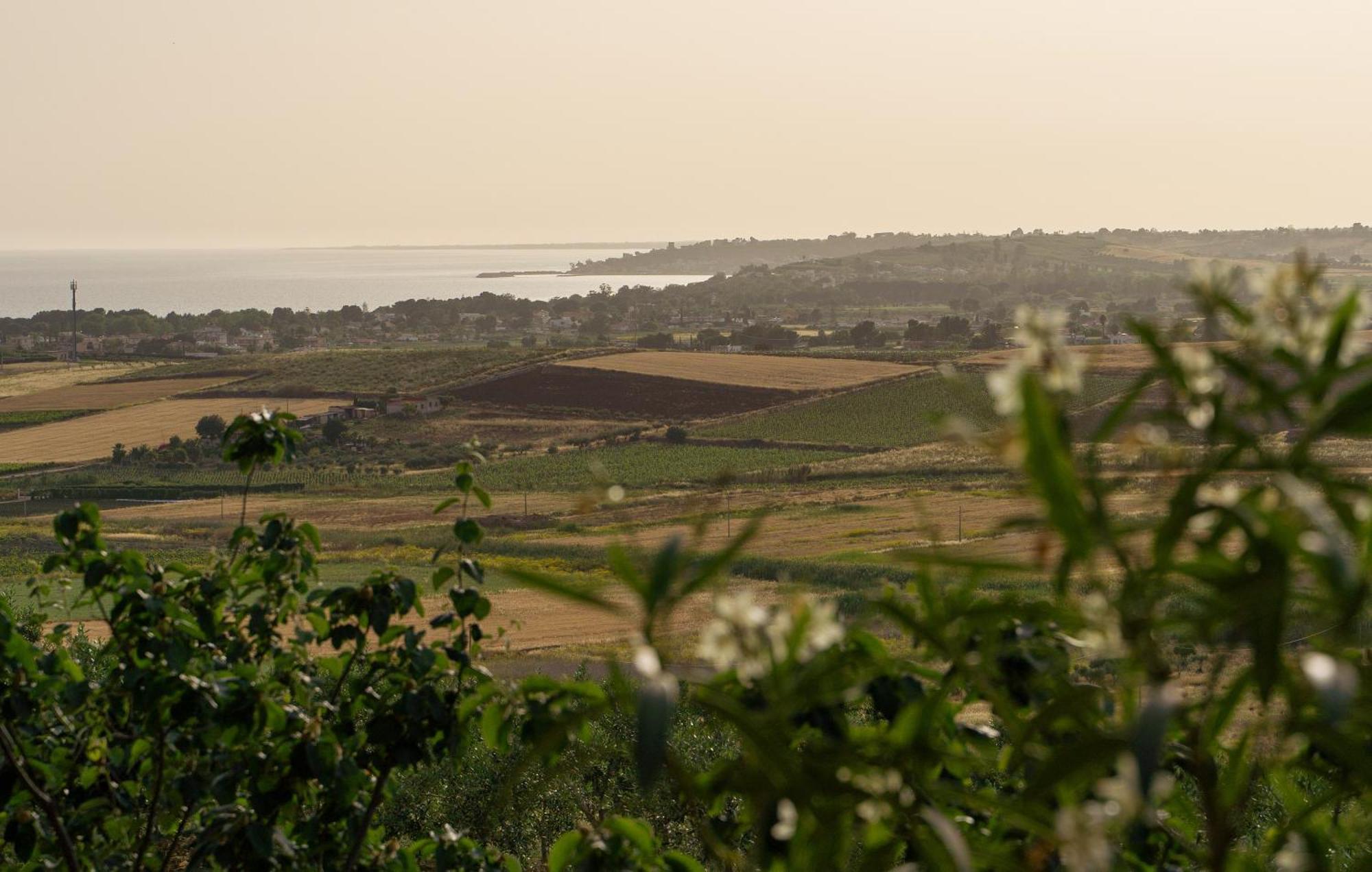 Casa Panoramica Tra Mare E Natura Menfi Exterior foto